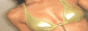 �S���G�X�e�R����