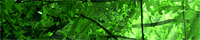 �C�[�W�[�v���X