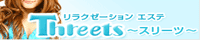 Threets�`�X���[�c�`
